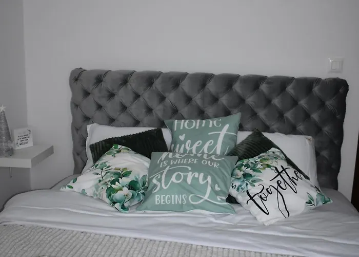 Kalina - Titova 즐라티보